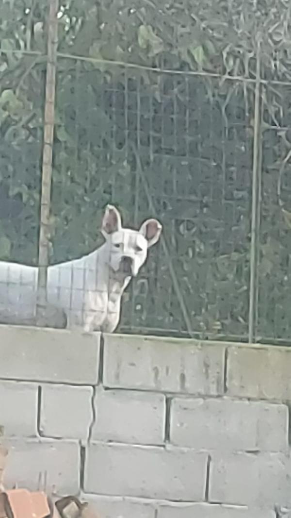 💔 OPI: Una vita in attesa di amore 💔 Foto 4